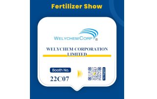 MEET WELYCHEM AT BOOTH No.22C07 of CAC AND FSHOW 2025 IN SHANGHAI