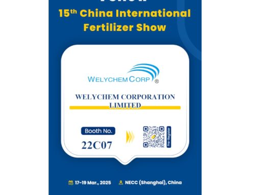 MEET WELYCHEM AT BOOTH No.22C07 of CAC AND FSHOW 2025 IN SHANGHAI